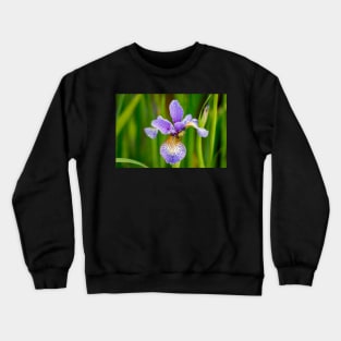 Blue Siberian Iris Crewneck Sweatshirt